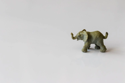 smallelephant